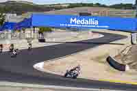 Laguna-Seca;event-digital-images;motorbikes;no-limits;peter-wileman-photography;trackday;trackday-digital-images